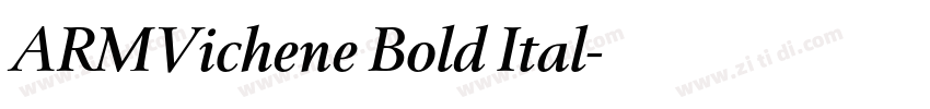 ARMVichene Bold Ital字体转换